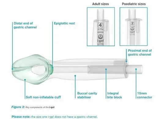 KT Services - I-Gel Airway