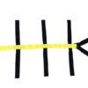 Kt services - spider straps