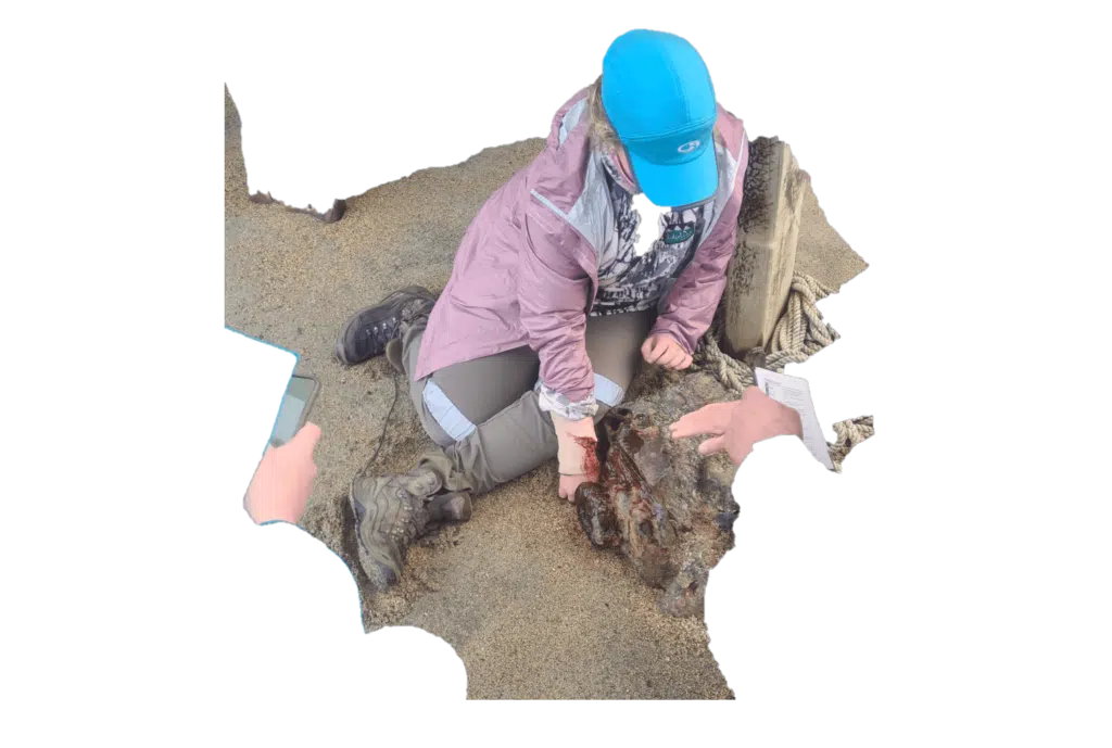 KT Services - Scenario-Based First Aid Trainings